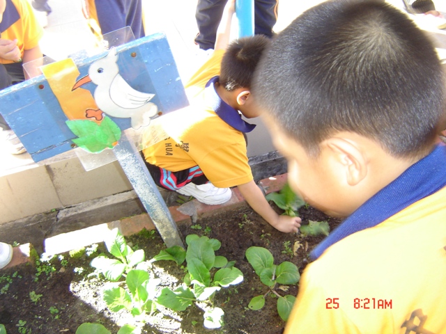 DSC07722.JPG